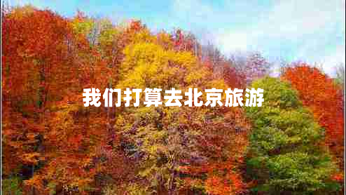 我們打算去北京旅游
