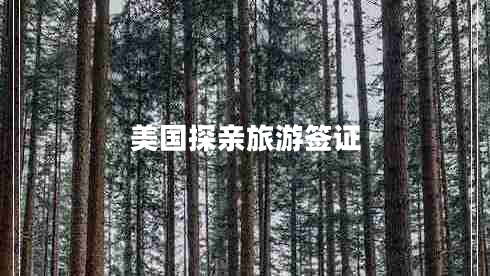 美國探親旅游簽證