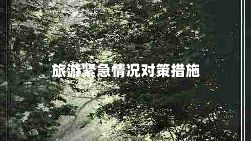 旅游緊急情況對策措施