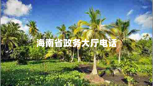 海南省政務(wù)大廳電話 海南省政務(wù)大廳電話