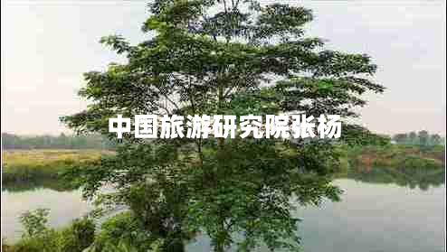 中國(guó)旅游研究院張楊 中國(guó)旅游研究院張楊