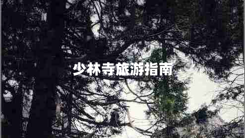 少林寺旅游指南 少林寺旅游指南