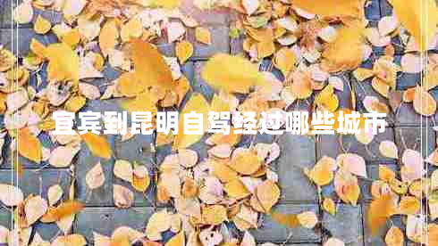 宜賓到昆明自駕經(jīng)過哪些城市