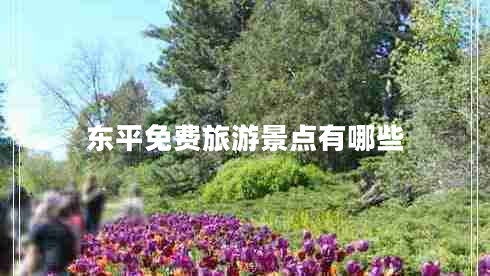東平免費旅游景點有哪些 東平免費旅游景點有哪些