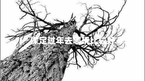 保定過年去哪玩比較好 保定過年去哪玩比較好