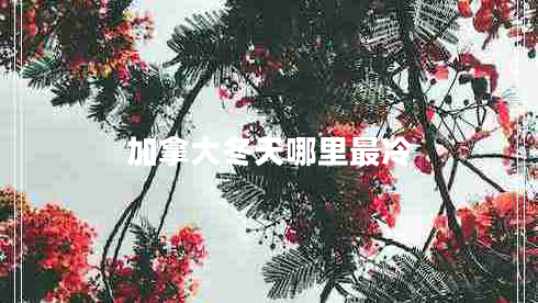 加拿大冬天哪里最冷 加拿大冬天哪里最冷