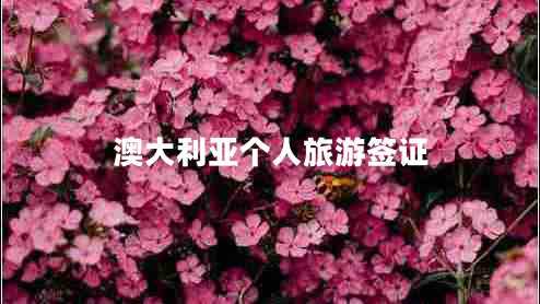 澳大利亞個人旅游簽證 澳大利亞個人旅游簽證