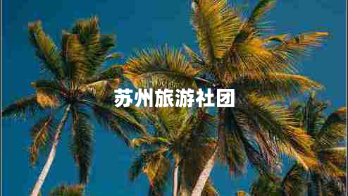 蘇州旅游社團(tuán)