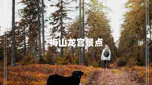 梅山龍宮景點(diǎn) 梅山龍宮景點(diǎn)