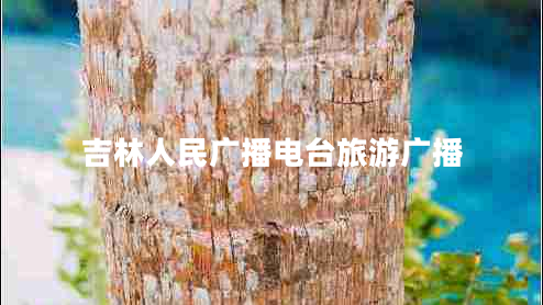 吉林人民廣播電臺(tái)旅游廣播 吉林人民廣播電臺(tái)旅游廣播