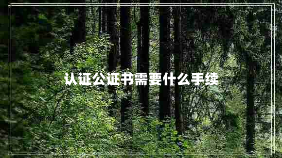 認(rèn)證公證書需要什么手續(xù)