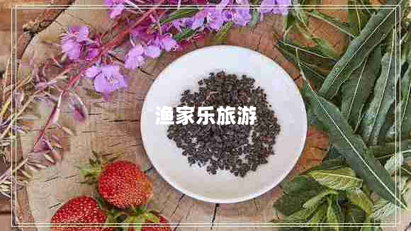 漁家樂旅游 漁家樂旅游