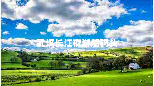 武漢長江夜游船碼頭