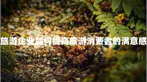 旅游企業(yè)如何提高旅游消費(fèi)者的滿意感