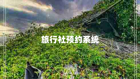 旅行社預約系統(tǒng) 旅行社預約系統(tǒng)