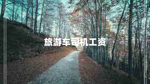 旅游車司機(jī)工資 旅游車司機(jī)工資