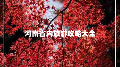 河南省內(nèi)旅游攻略大全 河南省內(nèi)旅游攻略大全