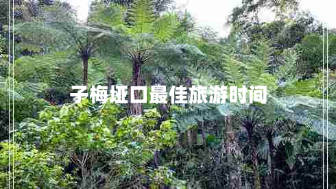 子梅埡口最佳旅游時(shí)間 子梅埡口最佳旅游時(shí)間