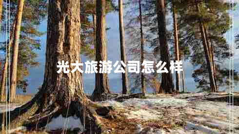 光大旅游公司怎么樣 光大旅游公司怎么樣