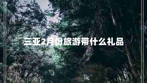 三亞2月份旅游帶什么禮品