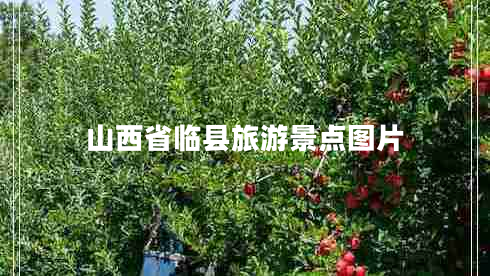 山西省臨縣旅游景點(diǎn)圖片