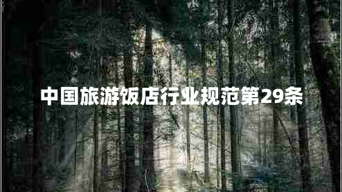 中國旅游飯店行業(yè)規(guī)范第29條