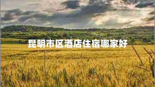 昆明市區(qū)酒店住宿哪家好