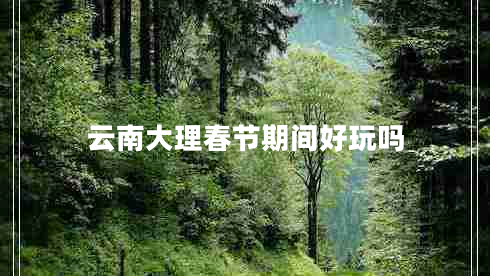 云南大理春節(jié)期間好玩嗎