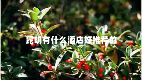 昆明有什么酒店好推薦的 昆明有什么酒店好推薦的