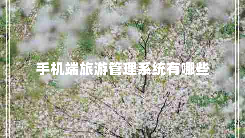 手機(jī)端旅游管理系統(tǒng)有哪些