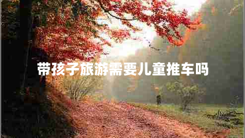 帶孩子旅游需要兒童推車(chē)嗎