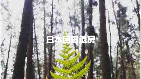 日本回國退房 日本回國退房