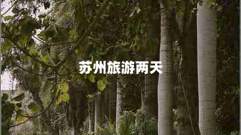 蘇州旅游兩天 蘇州旅游兩天