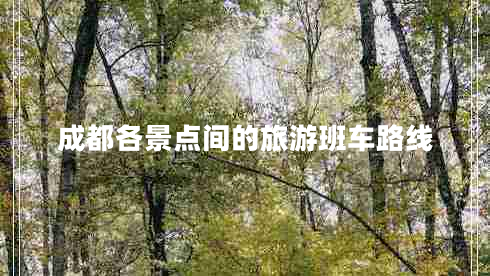 成都各景點間的旅游班車路線 成都各景點間的旅游班車路線