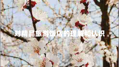 對精品旅游飯店的理解和認識