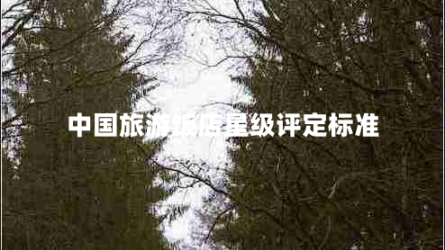 中國(guó)旅游飯店星級(jí)評(píng)定標(biāo)準(zhǔn) 中國(guó)旅游飯店星級(jí)評(píng)定標(biāo)準(zhǔn)