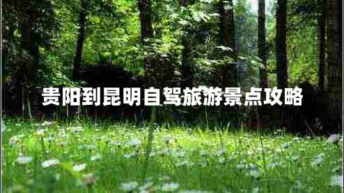 貴陽到昆明自駕旅游景點攻略 貴陽到昆明自駕旅游景點攻略