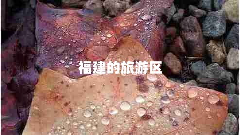 福建的旅游區(qū) 福建的旅游區(qū)