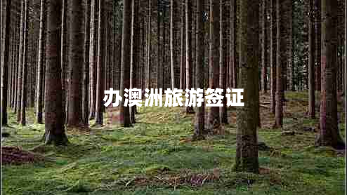 辦澳洲旅游簽證