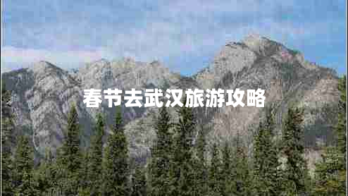 春節(jié)去武漢旅游攻略 春節(jié)去武漢旅游攻略