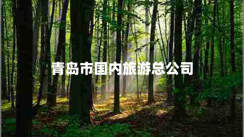 青島市國內(nèi)旅游總公司