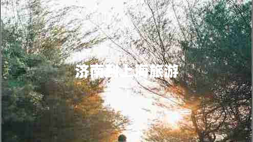 濟南到上海旅游