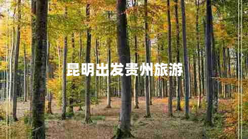 昆明出發(fā)貴州旅游