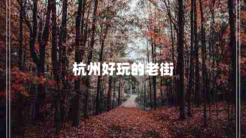 杭州好玩的老街 杭州好玩的老街