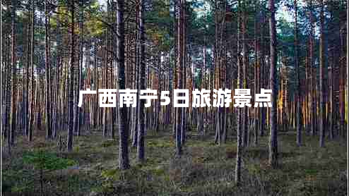 廣西南寧5日旅游景點