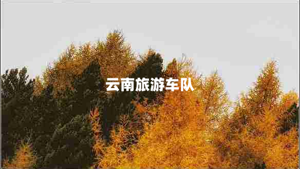 云南旅游車隊(duì) 云南旅游車隊(duì)