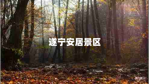 遂寧安居景區(qū)