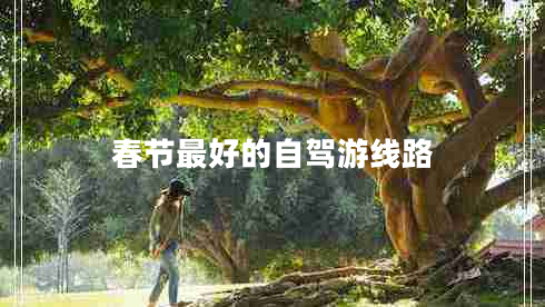 春節(jié)最好的自駕游線路 春節(jié)最好的自駕游線路