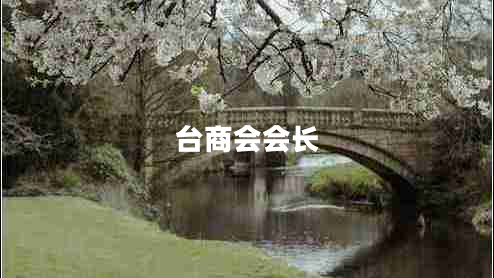臺商會會長 臺商會會長