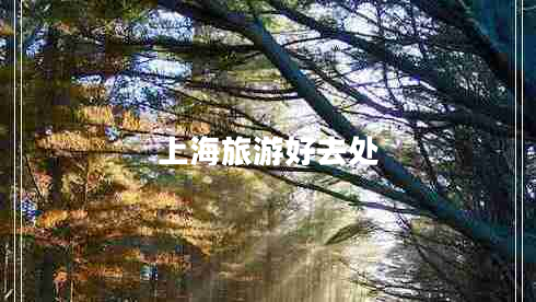 上海旅游好去處 上海旅游好去處
